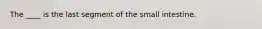 The ____ is the last segment of the small intestine.