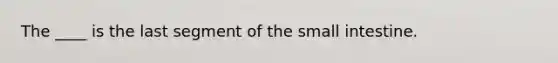 The ____ is the last segment of the small intestine.