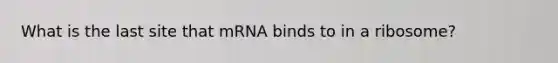 What is the last site that mRNA binds to in a ribosome?