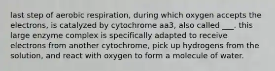 last step of aerobic respiration, during which oxygen accepts the electrons, is catalyzed by cytochrome aa3, also called ___. this large enzyme complex is specifically adapted to receive electrons from another cytochrome, pick up hydrogens from the solution, and react with oxygen to form a molecule of water.