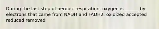 During the last step of aerobic respiration, oxygen is ______ by electrons that came from NADH and FADH2. oxidized accepted reduced removed