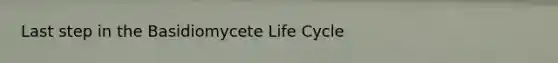 Last step in the Basidiomycete Life Cycle