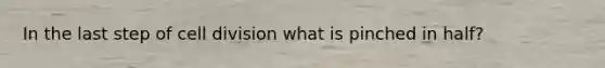In the last step of cell division what is pinched in half?