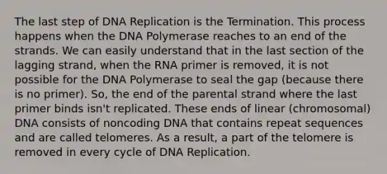 The last step of <a href='https://www.questionai.com/knowledge/kofV2VQU2J-dna-replication' class='anchor-knowledge'>dna replication</a> is the Termination. This process happens when the DNA Polymerase reaches to an end of the strands. We can easily understand that in the last section of the lagging strand, when the RNA primer is removed, it is not possible for the DNA Polymerase to seal the gap (because there is no primer). So, the end of the parental strand where the last primer binds isn't replicated. These ends of linear (chromosomal) DNA consists of noncoding DNA that contains repeat sequences and are called telomeres. As a result, a part of the telomere is removed in every cycle of DNA Replication.