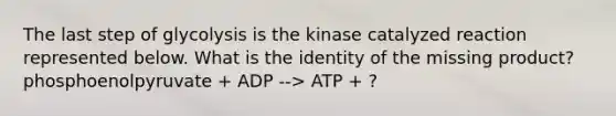 The last step of glycolysis is the kinase catalyzed reaction represented below. What is the identity of the missing product? phosphoenolpyruvate + ADP --> ATP + ?