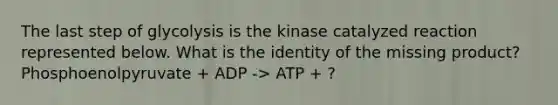 The last step of glycolysis is the kinase catalyzed reaction represented below. What is the identity of the missing product? Phosphoenolpyruvate + ADP -> ATP + ?