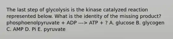 The last step of glycolysis is the kinase catalyzed reaction represented below. What is the identity of the missing product? phosphoenolpyruvate + ADP ---> ATP + ? A. glucose B. glycogen C. AMP D. Pi E. pyruvate