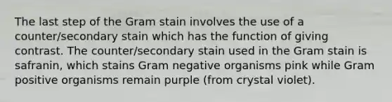 The last step of the Gram stain involves the use of a counter/secondary stain which has the function of giving contrast. The counter/secondary stain used in the Gram stain is safranin, which stains Gram negative organisms pink while Gram positive organisms remain purple (from crystal violet).