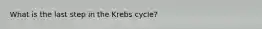 What is the last step in the Krebs cycle?