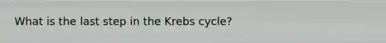 What is the last step in the Krebs cycle?