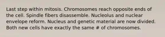 Last step within mitosis. Chromosomes reach opposite ends of the cell. Spindle fibers disassemble. Nucleolus and nuclear envelope reform. Nucleus and genetic material are now divided. Both new cells have exactly the same # of chromosomes.