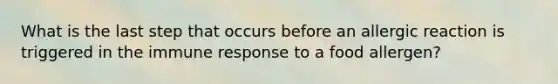 What is the last step that occurs before an allergic reaction is triggered in the immune response to a food allergen?