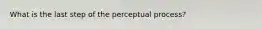 What is the last step of the perceptual process?