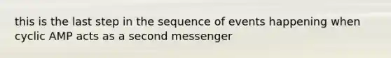 this is the last step in the sequence of events happening when cyclic AMP acts as a second messenger