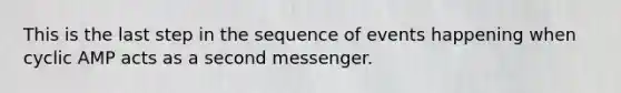 This is the last step in the sequence of events happening when cyclic AMP acts as a second messenger.