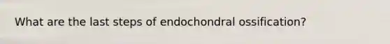 What are the last steps of endochondral ossification?