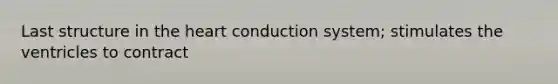 Last structure in the heart conduction system; stimulates the ventricles to contract