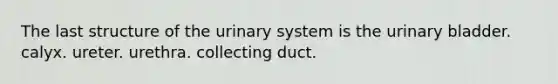 The last structure of the urinary system is the <a href='https://www.questionai.com/knowledge/kb9SdfFdD9-urinary-bladder' class='anchor-knowledge'>urinary bladder</a>. calyx. ureter. urethra. collecting duct.