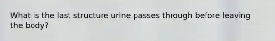 What is the last structure urine passes through before leaving the body?