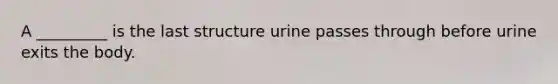 A _________ is the last structure urine passes through before urine exits the body.