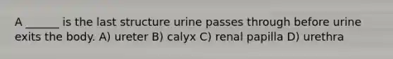 A ______ is the last structure urine passes through before urine exits the body. A) ureter B) calyx C) renal papilla D) urethra