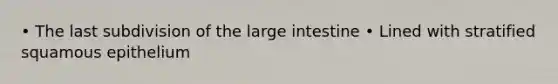 • The last subdivision of the large intestine • Lined with stratified squamous epithelium