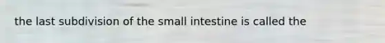 the last subdivision of the small intestine is called the