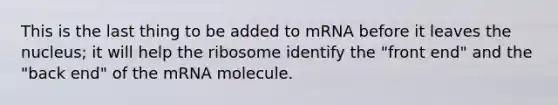 This is the last thing to be added to mRNA before it leaves the nucleus; it will help the ribosome identify the "front end" and the "back end" of the mRNA molecule.