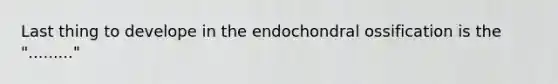 Last thing to develope in the endochondral ossification is the "........."