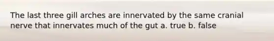 The last three gill arches are innervated by the same cranial nerve that innervates much of the gut a. true b. false