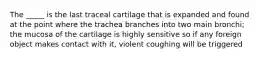 The _____ is the last traceal cartilage that is expanded and found at the point where the trachea branches into two main bronchi; the mucosa of the cartilage is highly sensitive so if any foreign object makes contact with it, violent coughing will be triggered