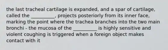 the last tracheal cartilage is expanded, and a spar of cartilage, called the __________, projects posteriorly from its inner face, marking the point where the trachea branches into the two main bronchi - the mucosa of the __________ is highly sensitive and violent coughing is triggered when a foreign object makes contact with it