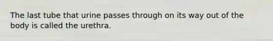 The last tube that urine passes through on its way out of the body is called the urethra.