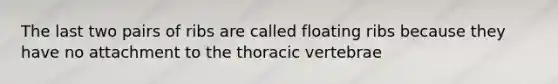 The last two pairs of ribs are called floating ribs because they have no attachment to the thoracic vertebrae