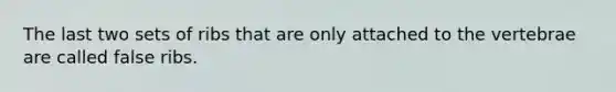 The last two sets of ribs that are only attached to the vertebrae are called false ribs.