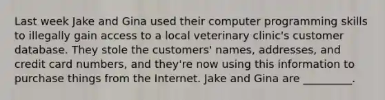 Last week Jake and Gina used their computer programming skills to illegally gain access to a local veterinary clinic's customer database. They stole the customers' names, addresses, and credit card numbers, and they're now using this information to purchase things from the Internet. Jake and Gina are _________.