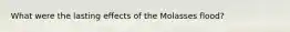 What were the lasting effects of the Molasses flood?
