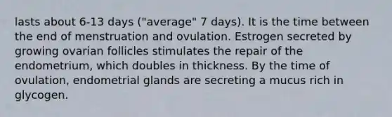 lasts about 6-13 days ("average" 7 days). It is the time between the end of menstruation and ovulation. Estrogen secreted by growing ovarian follicles stimulates the repair of the endometrium, which doubles in thickness. By the time of ovulation, endometrial glands are secreting a mucus rich in glycogen.