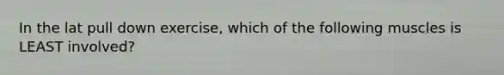 In the lat pull down exercise, which of the following muscles is LEAST involved?