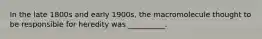 In the late 1800s and early 1900s, the macromolecule thought to be responsible for heredity was __________.