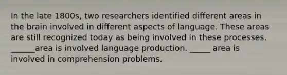 In the late 1800s, two researchers identified different areas in the brain involved in different aspects of language. These areas are still recognized today as being involved in these processes. ______area is involved language production. _____ area is involved in comprehension problems.