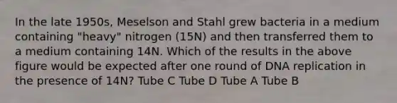 In the late 1950s, Meselson and Stahl grew bacteria in a medium containing "heavy" nitrogen (15N) and then transferred them to a medium containing 14N. Which of the results in the above figure would be expected after one round of DNA replication in the presence of 14N? Tube C Tube D Tube A Tube B