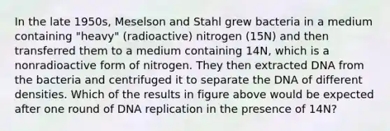 In the late 1950s, Meselson and Stahl grew bacteria in a medium containing "heavy" (radioactive) nitrogen (15N) and then transferred them to a medium containing 14N, which is a nonradioactive form of nitrogen. They then extracted DNA from the bacteria and centrifuged it to separate the DNA of different densities. Which of the results in figure above would be expected after one round of DNA replication in the presence of 14N?