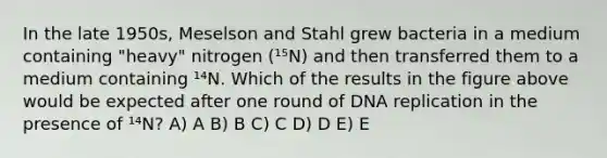 In the late 1950s, Meselson and Stahl grew bacteria in a medium containing "heavy" nitrogen (¹⁵N) and then transferred them to a medium containing ¹⁴N. Which of the results in the figure above would be expected after one round of DNA replication in the presence of ¹⁴N? A) A B) B C) C D) D E) E