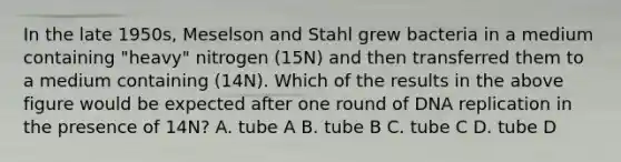 In the late 1950s, Meselson and Stahl grew bacteria in a medium containing "heavy" nitrogen (15N) and then transferred them to a medium containing (14N). Which of the results in the above figure would be expected after one round of <a href='https://www.questionai.com/knowledge/kofV2VQU2J-dna-replication' class='anchor-knowledge'>dna replication</a> in the presence of 14N? A. tube A B. tube B C. tube C D. tube D