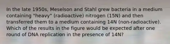 In the late 1950s, Meselson and Stahl grew bacteria in a medium containing "heavy" (radioactive) nitrogen (15N) and then transferred them to a medium containing 14N (non-radioactive). Which of the results in the figure would be expected after one round of DNA replication in the presence of 14N?