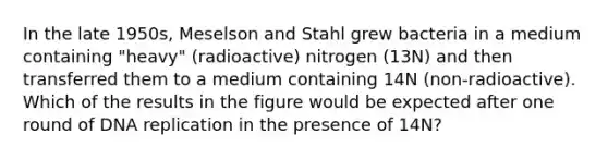 In the late 1950s, Meselson and Stahl grew bacteria in a medium containing "heavy" (radioactive) nitrogen (13N) and then transferred them to a medium containing 14N (non-radioactive). Which of the results in the figure would be expected after one round of <a href='https://www.questionai.com/knowledge/kofV2VQU2J-dna-replication' class='anchor-knowledge'>dna replication</a> in the presence of 14N?