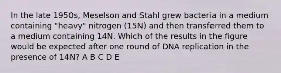 In the late 1950s, Meselson and Stahl grew bacteria in a medium containing "heavy" nitrogen (15N) and then transferred them to a medium containing 14N. Which of the results in the figure would be expected after one round of DNA replication in the presence of 14N? A B C D E