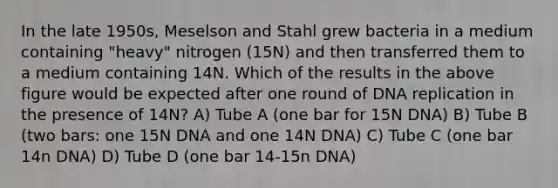 In the late 1950s, Meselson and Stahl grew bacteria in a medium containing "heavy" nitrogen (15N) and then transferred them to a medium containing 14N. Which of the results in the above figure would be expected after one round of DNA replication in the presence of 14N? A) Tube A (one bar for 15N DNA) B) Tube B (two bars: one 15N DNA and one 14N DNA) C) Tube C (one bar 14n DNA) D) Tube D (one bar 14-15n DNA)