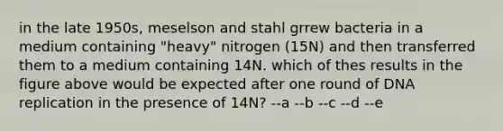 in the late 1950s, meselson and stahl grrew bacteria in a medium containing "heavy" nitrogen (15N) and then transferred them to a medium containing 14N. which of thes results in the figure above would be expected after one round of DNA replication in the presence of 14N? --a --b --c --d --e